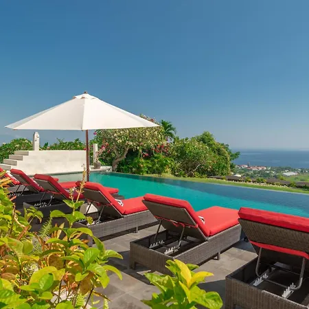 Dolphin Villa Lovina 2